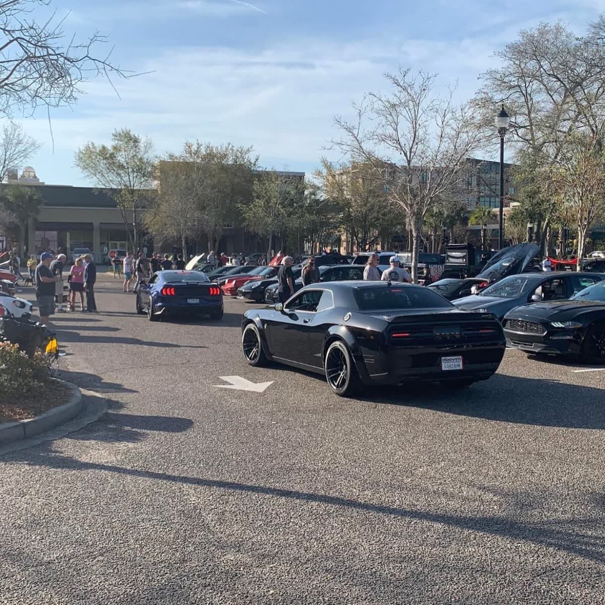 Cars lined up at a Lowcountry Cars & Coffee